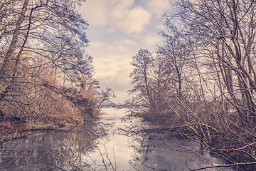 Image showing Frozen river in a forest