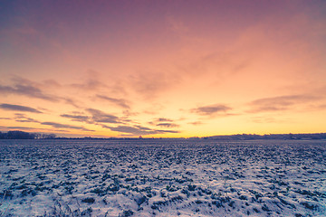 Image showing Field covered with snow