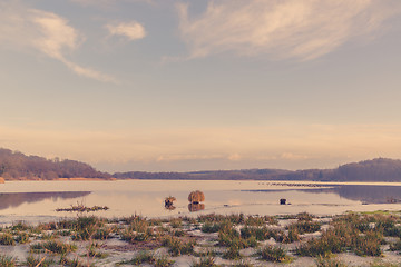 Image showing Grass at a frozen lake