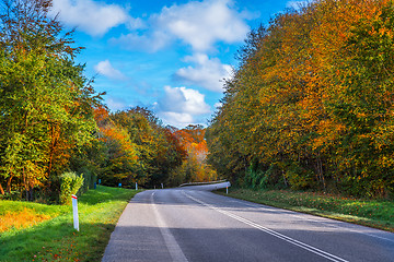Image showing Road with a curve in autumn
