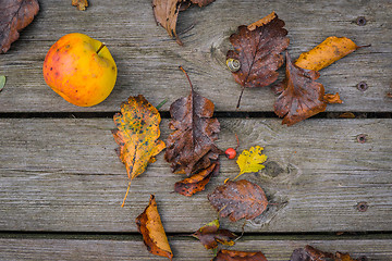 Image showing Wooden background with autumn apple