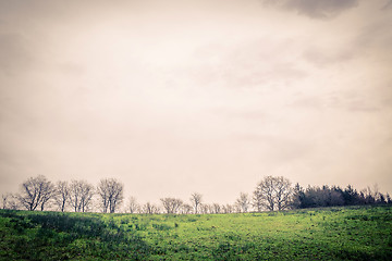 Image showing Green landscape with tree silhouettes