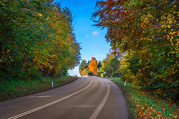 Image showing Colorful trees by a road curve