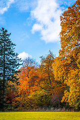 Image showing Park with colorful trees in the fall