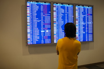 Image showing Passenger studying an information board