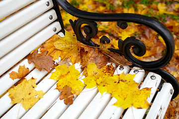 Image showing Yellow maple leaf on the bench.