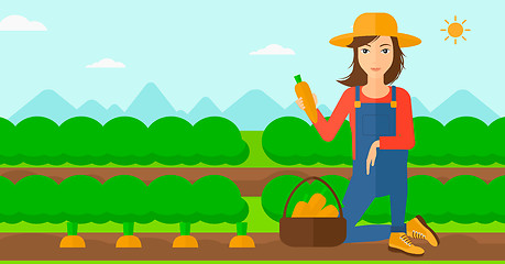 Image showing Farmer collecting carrots.