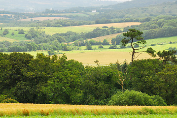 Image showing Agricultural landscape