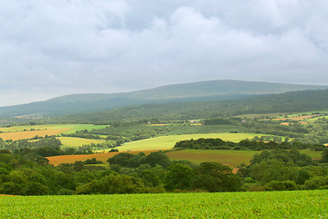 Image showing Agricultural landscape