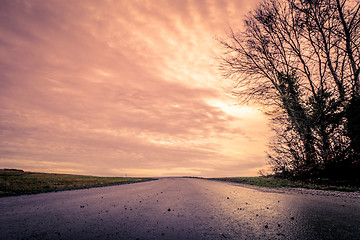 Image showing Asphalt road in the sunset