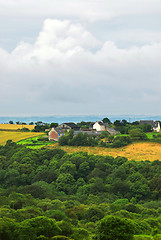 Image showing Agricultural landscape