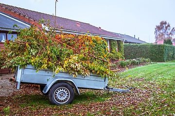 Image showing Garden waste in a wagon