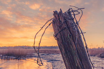 Image showing Wooden fence post with barb wire