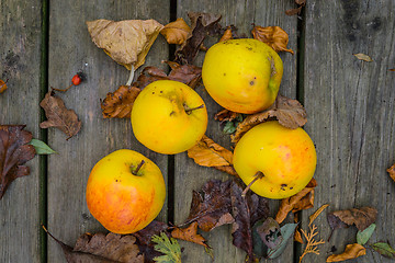 Image showing Yellow apples on wooden table