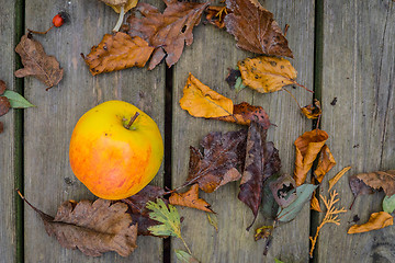Image showing Apple on a wooden background