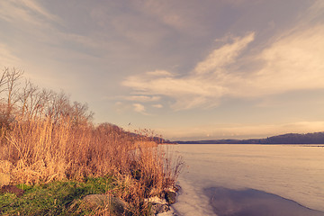 Image showing Reed at a frozen river