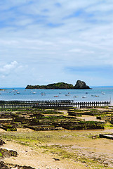 Image showing Oyster beds in Cancale, France