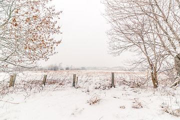 Image showing Countryside winter landscape with a fence