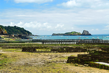 Image showing Oyster beds in Cancale, France