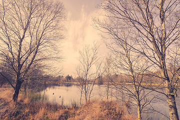 Image showing Idyllic lake with ducks