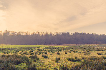 Image showing Sunrise scenery with a green field