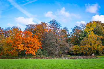 Image showing Park in the autumn with trees