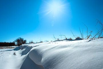 Image showing Snow in a winter landscape with sunshine