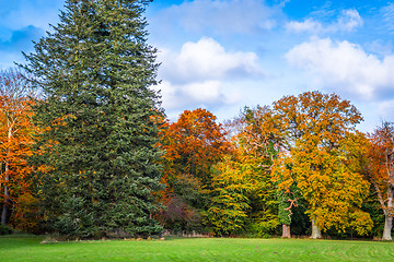 Image showing Trees changing colors in the autumn
