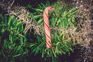 Image showing Sugar cane hanging on a Christmas tree