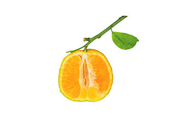 Image showing Clementine isolated on white background