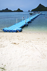 Image showing plastic pier  coastline of a  green lagoon and tree  south rope