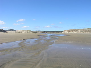 Image showing Tracks on the beach