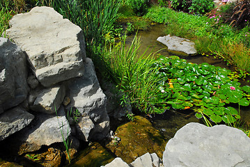 Image showing Pond landscaping