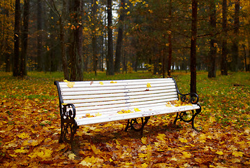Image showing Bench in the autumn park.
