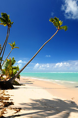 Image showing Tropical beach