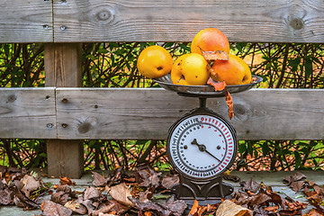 Image showing Apples on a weight