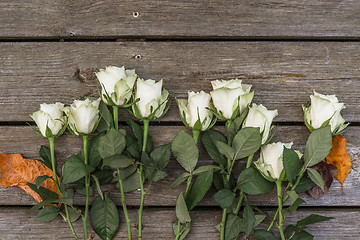 Image showing White roses on wooden background
