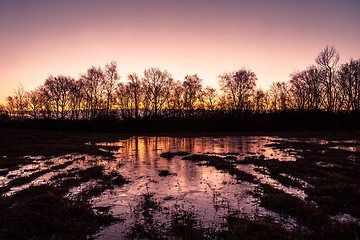 Image showing Winter landscape with frozen water