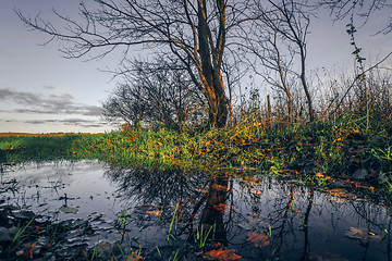 Image showing Autumn scenery with a puddle