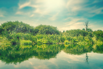 Image showing Green grass by a lake