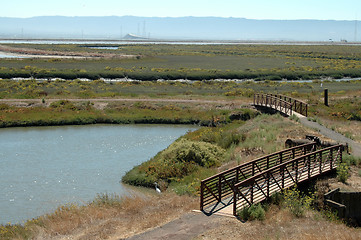 Image showing Footpath