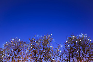 Image showing Illuminated treetops at Advent time