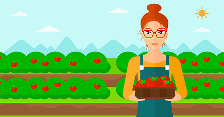 Image showing Farmer collecting tomatos.