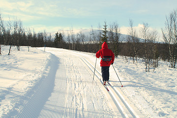 Image showing Skiing