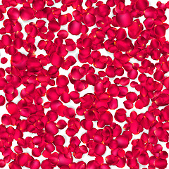 Image showing Background of beautiful red rose petals. EPS 10