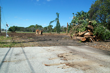 Image showing clearing tropical forest