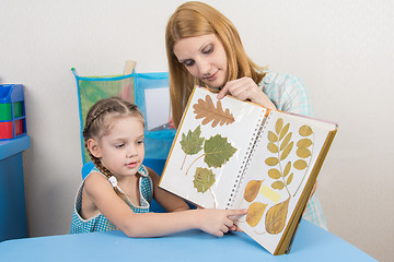 Image showing Five-year girl and mother examining herbarium shows on one sheet of an album