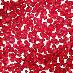 Image showing Background of beautiful red rose petals. EPS 10