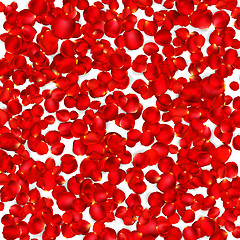 Image showing Background of beautiful red rose petals. EPS 10