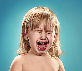 Image showing Portrait of a little girl. She is crying